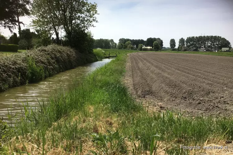 Gebruik gewasbeschermingsmiddelen op de juiste manier