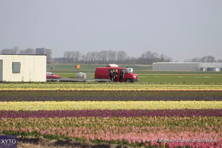 Miljardensteun nodig voor (glas)tuinbouw, bollensector en zaadveredelaars