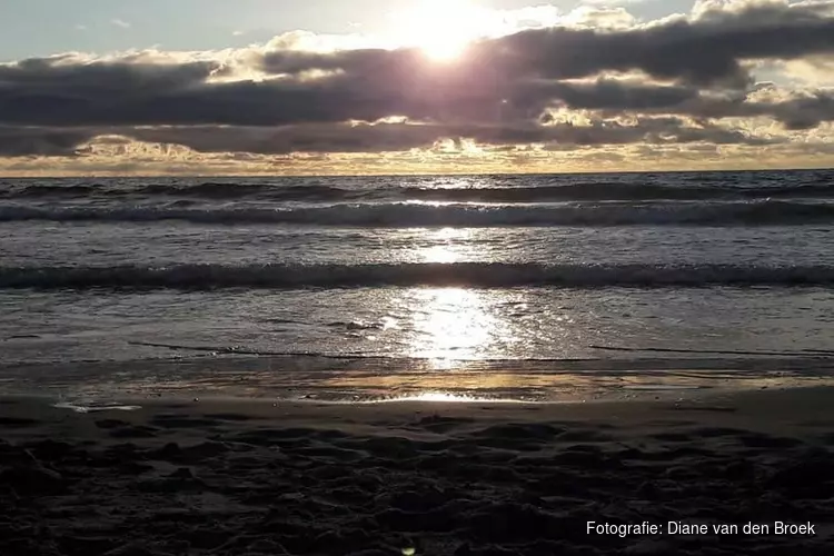 Fotowedstrijd Noordzee | Strandworkshop winnen