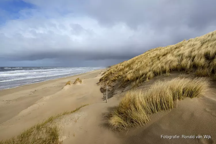 Trainees gezocht voor Het Groene Strand