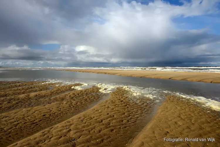 Strandhuisjes schuiven op om duinen te versterken