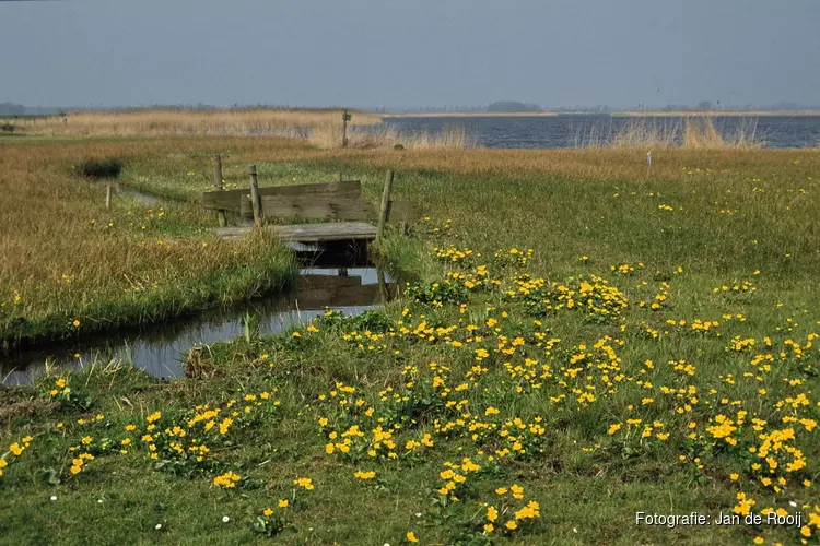 Unieke wandeling door oernatuur tussen Limmen en Akersloot