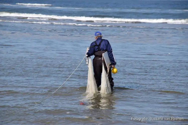 Ontdek het Castricumse strand met het IVN