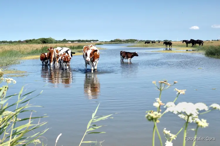 Prijswinnaars fotowedstrijd `Water. Geniet ervan!` bekend