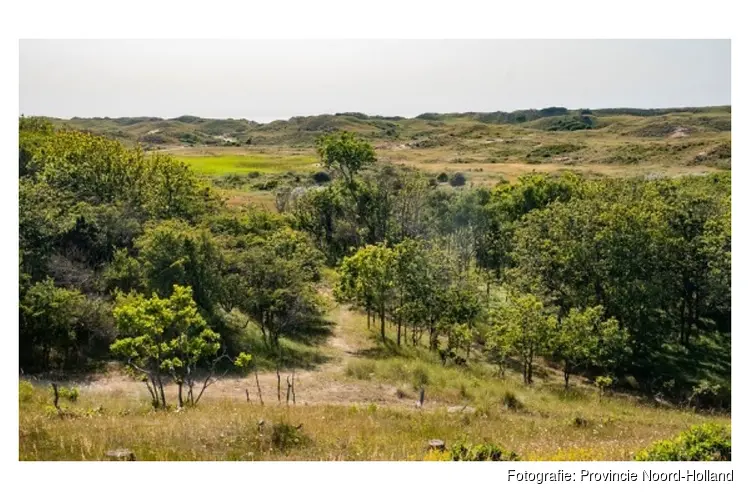 Natura 2000-beheerplannen van 4 duingebieden verlengd