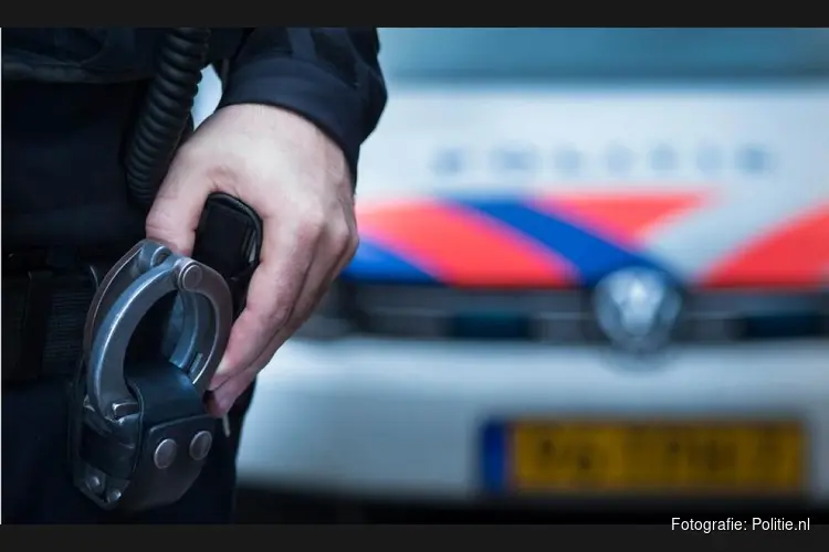Politie verricht nieuwe aanhoudingen na mishandeling station Castricum