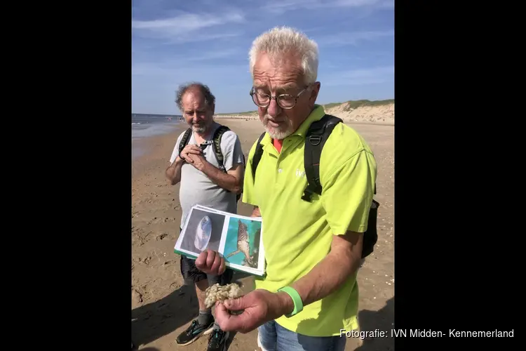 Ga mee op ontdekkingstocht op het strand van Castricum