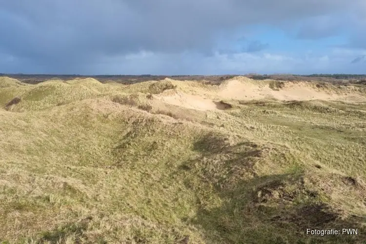 Werkzaamheden duinen voor herstel en bescherming natuur