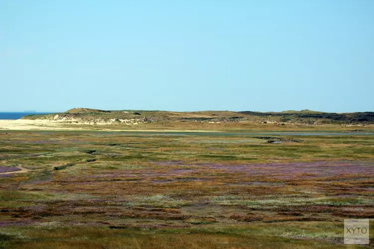 Niet brommen in het duinreservaat