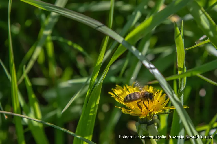 Provincie investeert € 196 miljoen in biodiversiteit