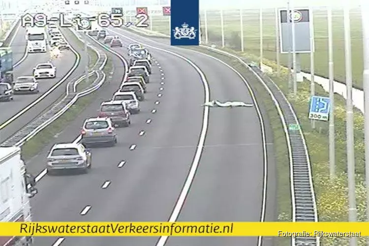 Zeildoek waait over A9 bij Akersloot: twee rijstroken dicht