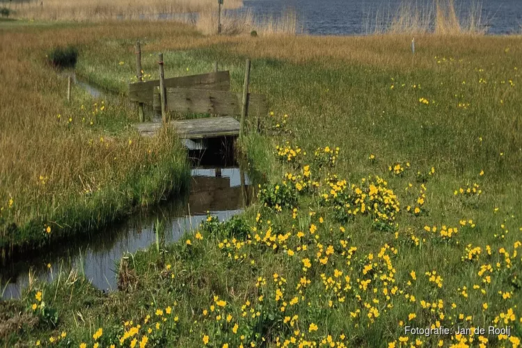 Oernatuur langs de snelweg