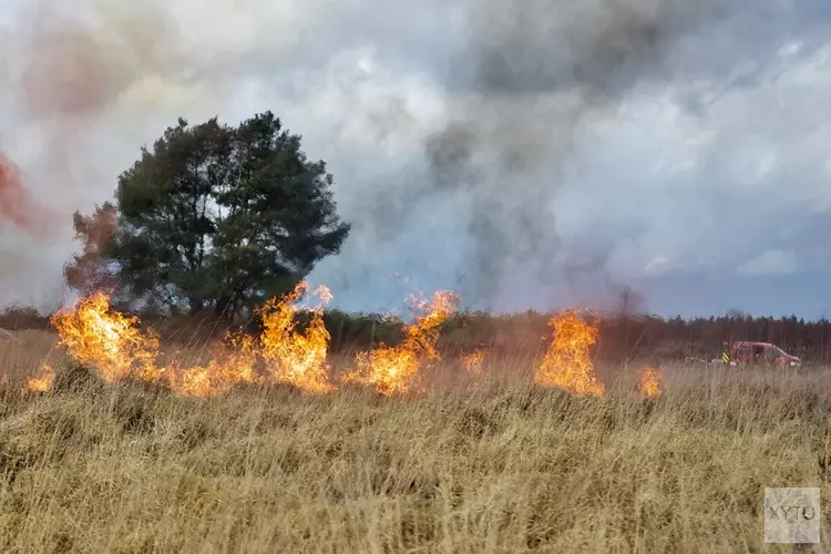 Clusiusleerlingen assisteren bij bosbrandoefening