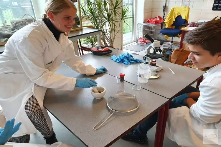 Schoolvoorbeeld van samenwerking bij praktijkles Clusius College Castricum