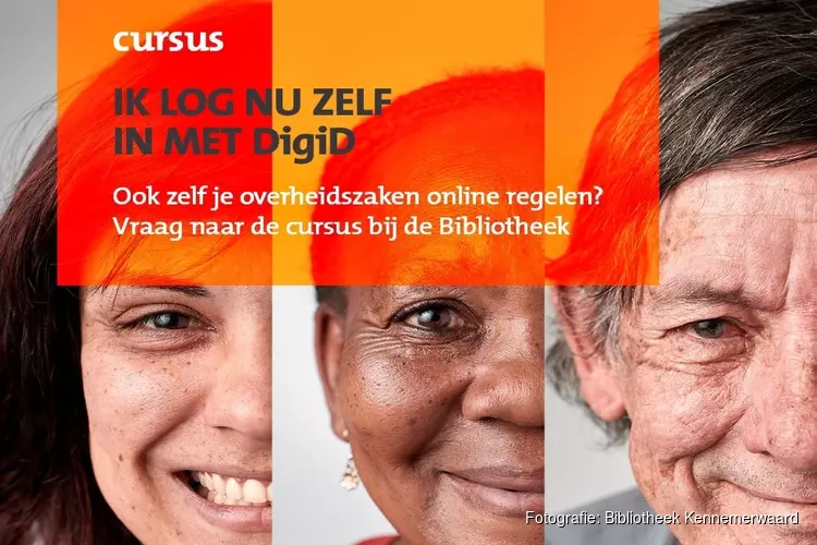 Digisterker – werken met de e-overheid